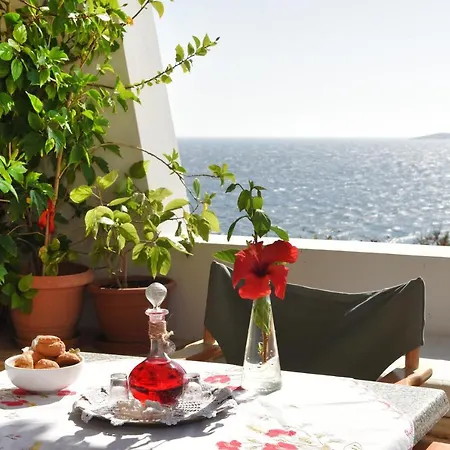 Anemona *